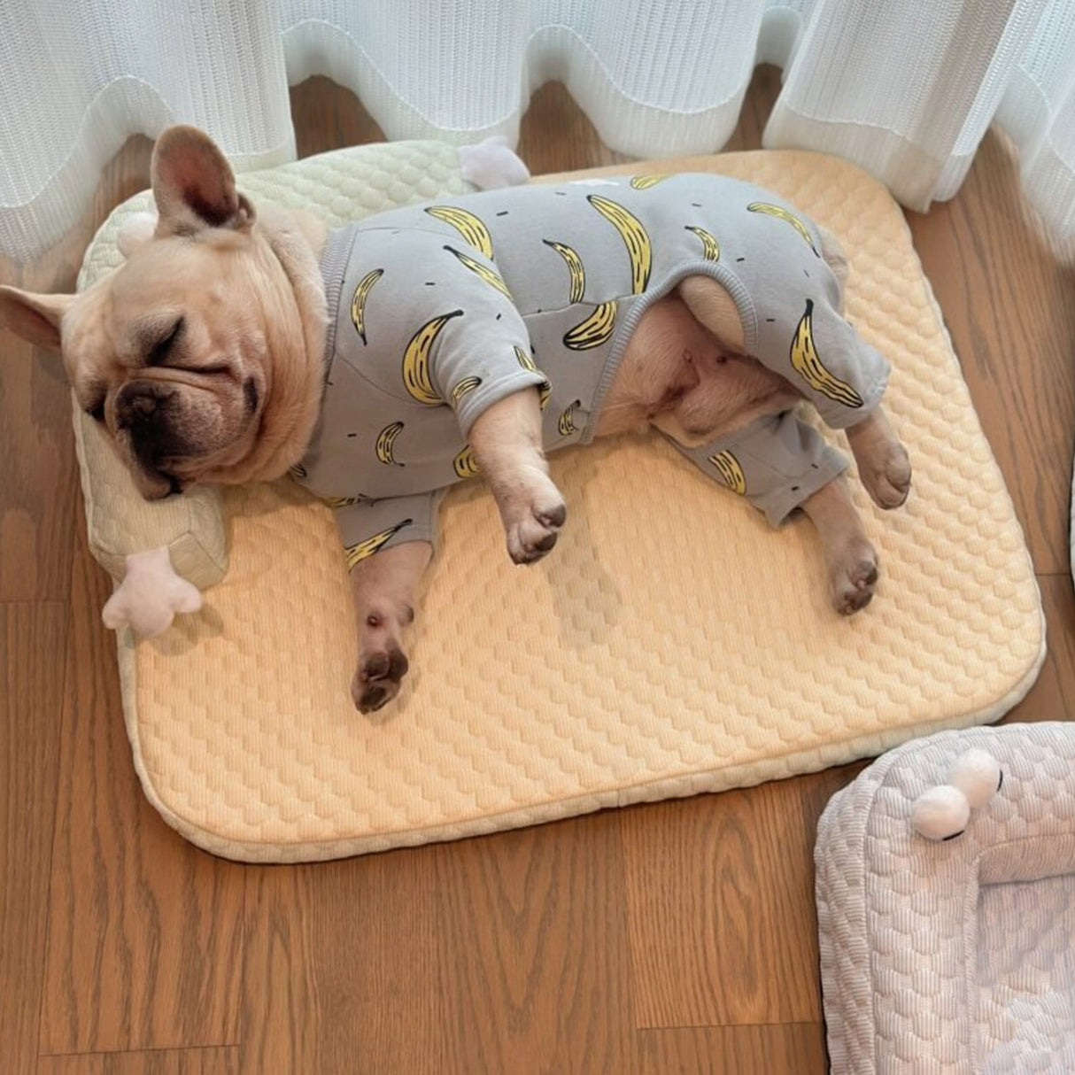 Avkylande husdjurssäng med nackskydd Andningsbar Stödjande Tvättbar Carvallo