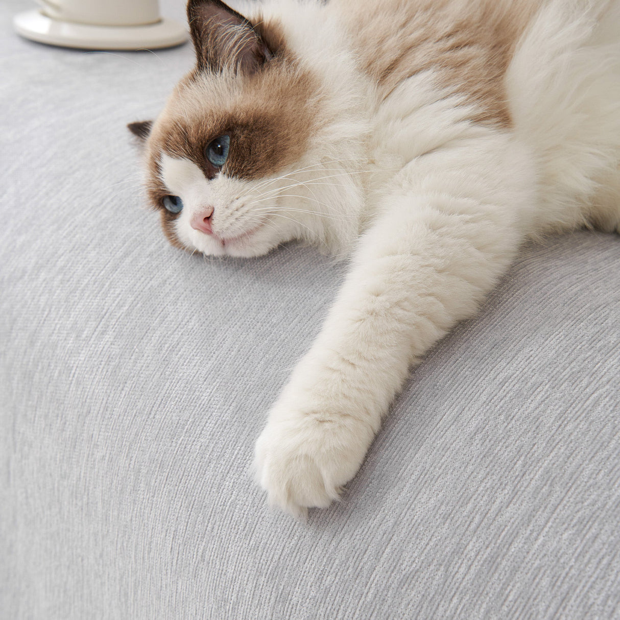 Pure Embrace Sofföverdrag - Modernt, Styligt & Hållbart Soffskydd Carvallo