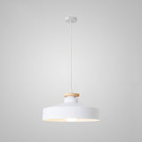 Hänglampa i färgglad metallfinish Carvallo