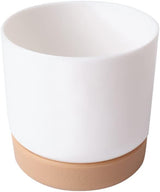 Självbevattnande blomkruka för orkidéer och växter – Plastplanteringskärl Carvallo