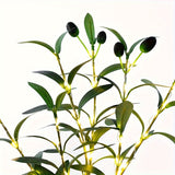 RoyaleGlow Ljusuppsättning Olivträd LED-lampa – Modern inredning för festliga tillfällen, bröllop, födelsedagar och feststämning, idealisk för matbord, skåp eller caféinredning Carvallo