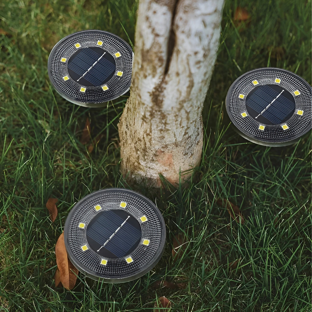 Solarlampa för trädgården – Väderbeständig och varmt vitt ljus för mysiga kvällar Carvallo