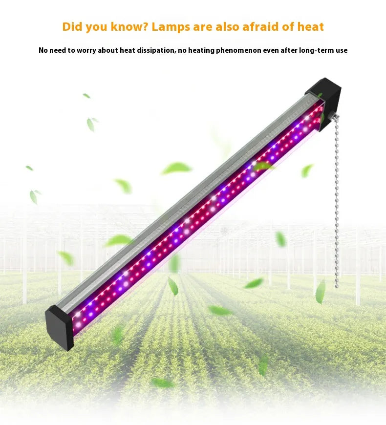 LED växtlampa med fullspektrum-belysning och dragknapp för optimal växttillväxt Carvallo