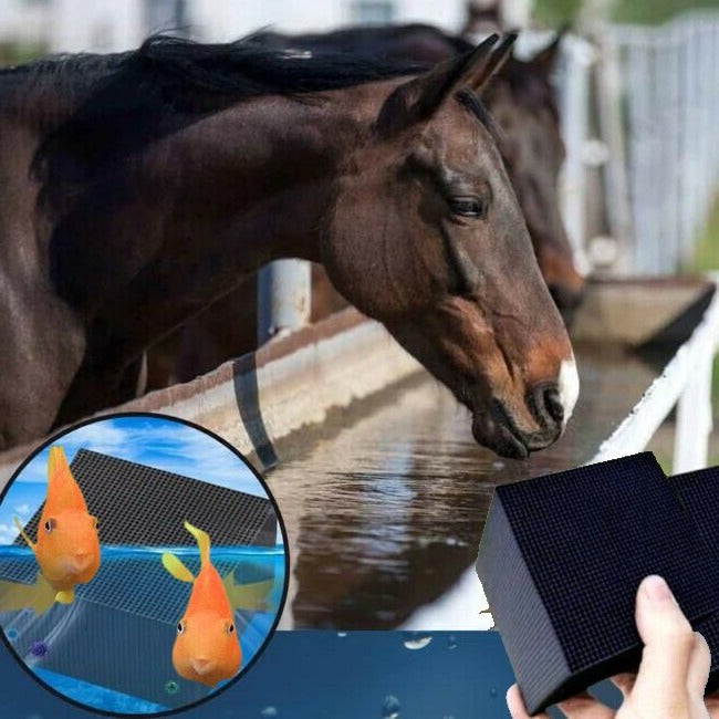 Luxora Vattenrenare Bio Cube för Boskapsakvarium & Hästdamm Carvallo