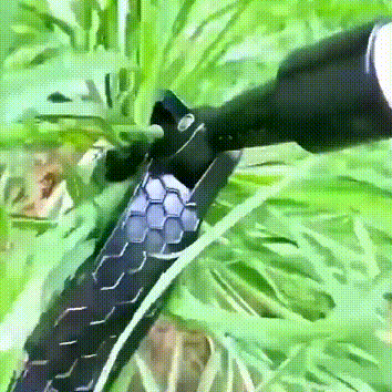 Royaleva Mekanisk ogräsrensare för enkelt trädgårdsskötsel Carvallo