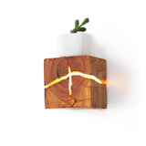 Kreativ Sprucken Gång Vägglampa Carvallo