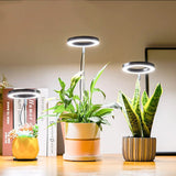 PlantGlow - Justerbar LED Grow Lampa för blomstrande inomhusväxter Carvallo