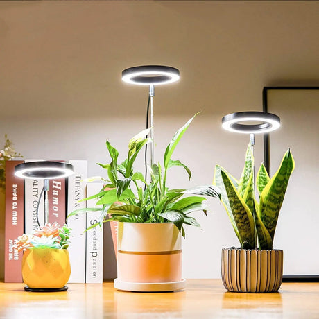 PlantGlow - Justerbar LED Grow Lampa för blomstrande inomhusväxter Carvallo