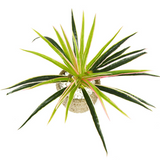 Konstgjord Gräs Växt – Dekorativ Växt för Hem och Kontor Carvallo