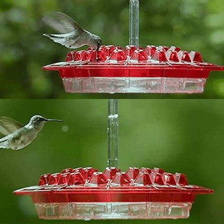 Ant-Proof Kolibri Matare med 30 Bi-Motståndskraftiga portar Carvallo