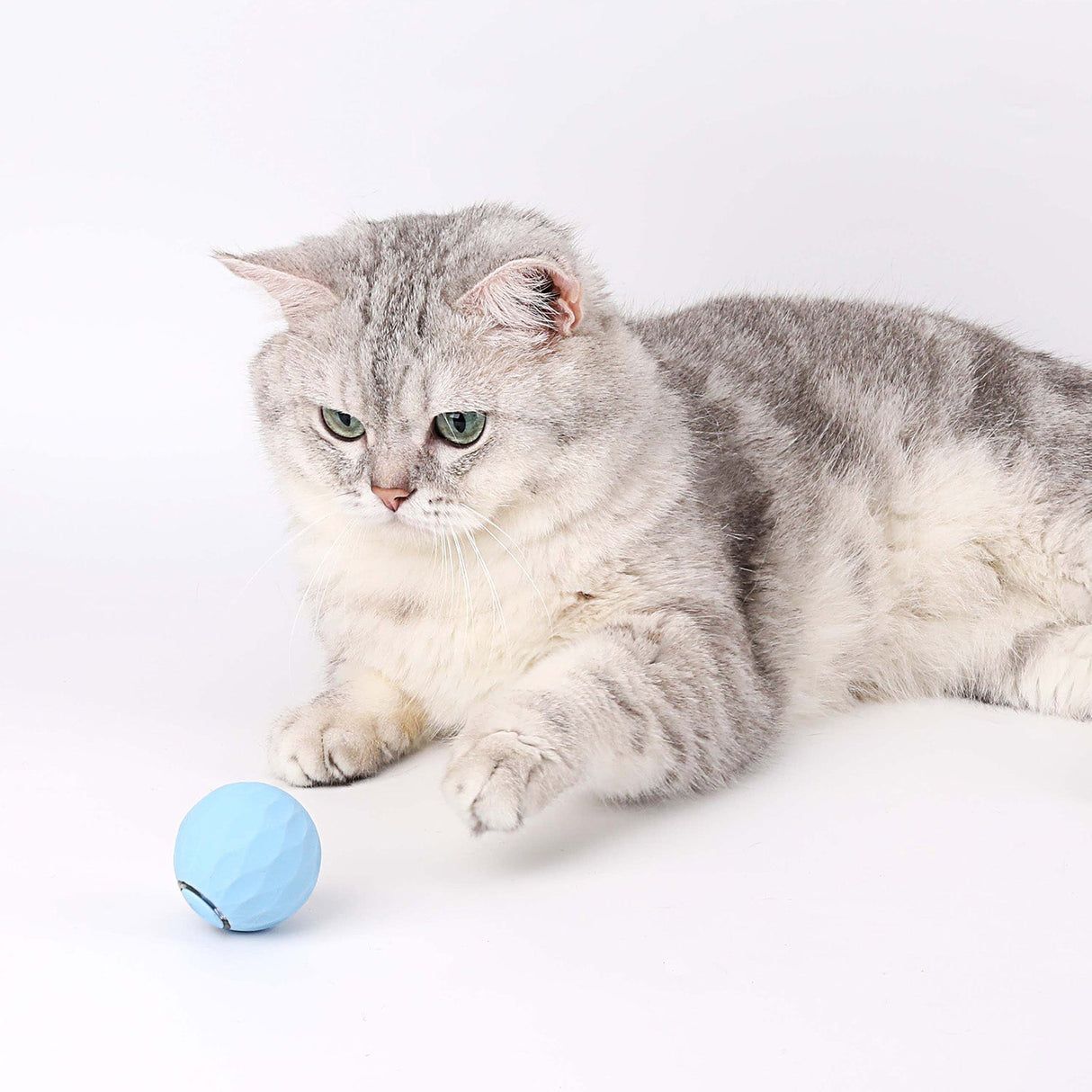 Katt leksak | Interaktivt självrullande boll Carvallo