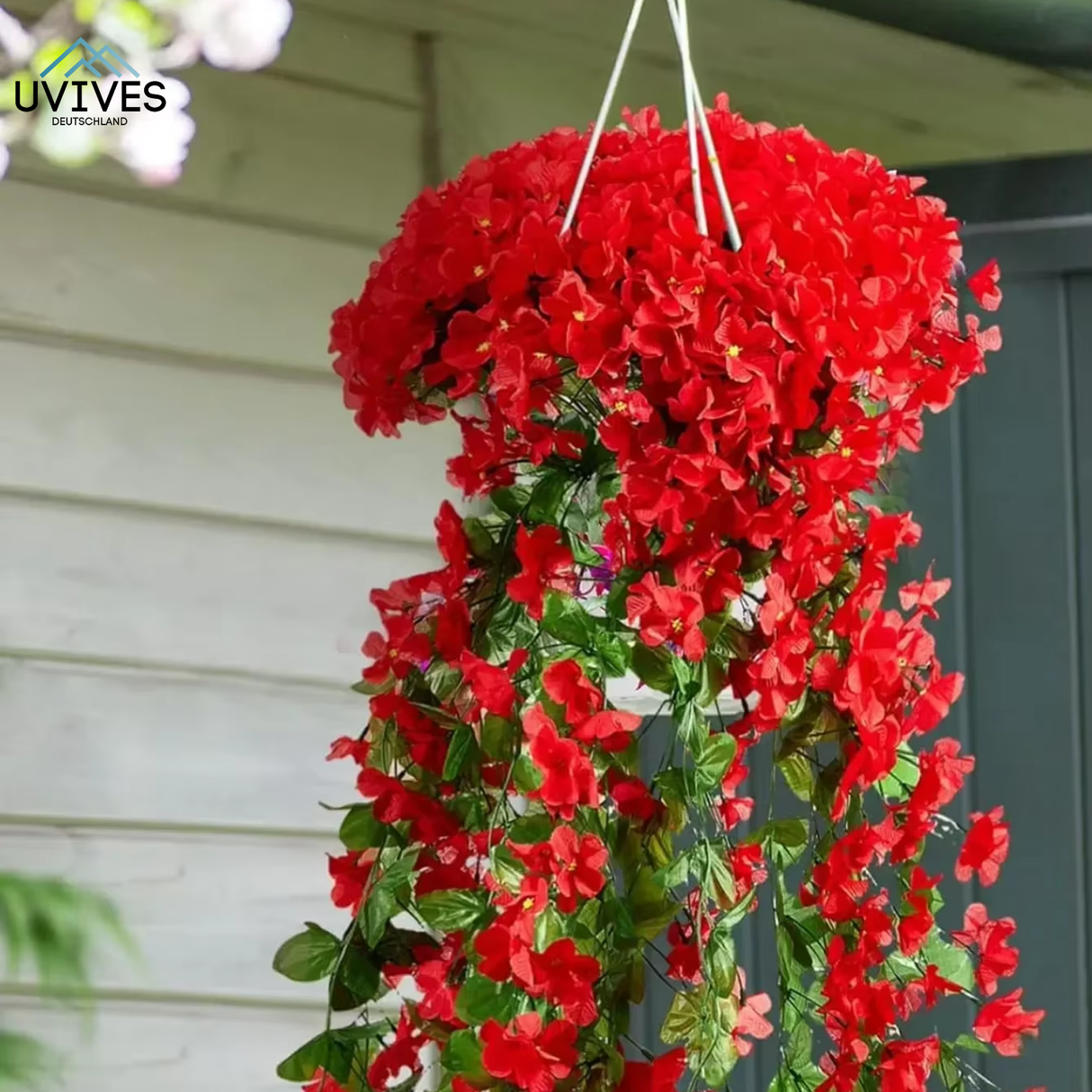 Carvallo – Naturlig elegans, ständigt fräsch [Sista dagen rabatt] Carvallo