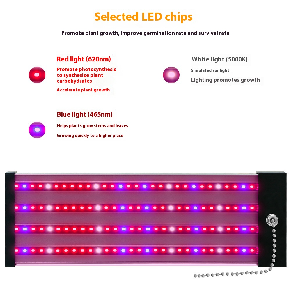 LED växtlampa med fullspektrum-belysning och dragknapp för optimal växttillväxt Carvallo