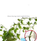 Kletterväggs fäste clips – Praktiska växt hållare för väggdekoration Carvallo