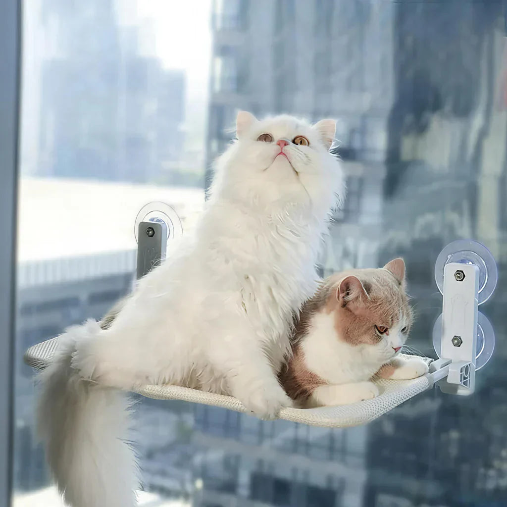 PurrNook – Fällbar Fönster katt-hängmatta med Lätt att rengöra överdrag och säker stöd Carvallo