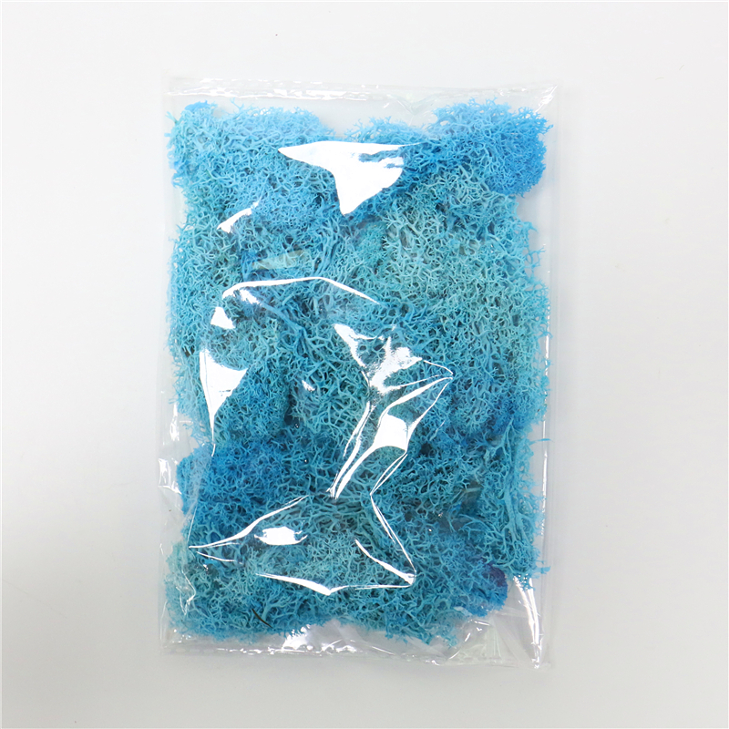 Konstgjord mossa för landskapsdesign – Mossa och blommor för dekoration och floristisk Carvallo