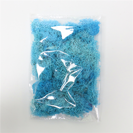 Konstgjord mossa för landskapsdesign – Mossa och blommor för dekoration och floristisk Carvallo