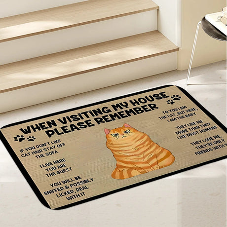 Katt Välkomstmatta - För alla kattälskare-Home-Hemnix-Orange Maine Coon-Hemnix