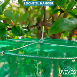 Carvallo – Slut med flugor i trädgården och huset Carvallo