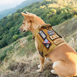 PawsSecur – Taktisk hundväst med Ingen-drag kontroll och anpassningsbara hjälppaneler Carvallo