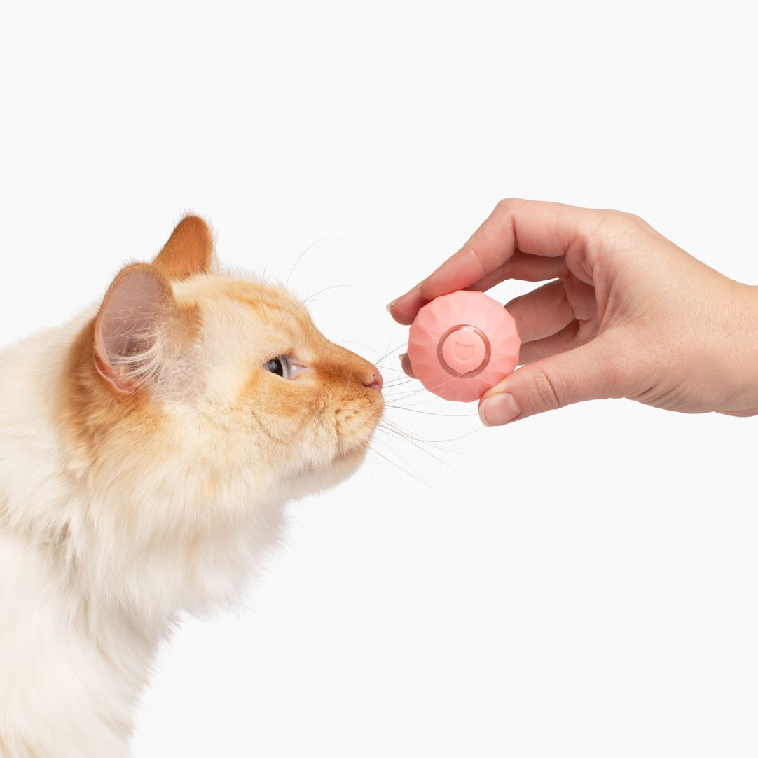 Katt leksak | Interaktivt självrullande boll Carvallo