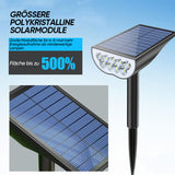 Carvallo Spot – Ljus som lever med solen Carvallo