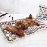 Hundfilt Plush Tvättbar Husdjur Kudde Carvallo