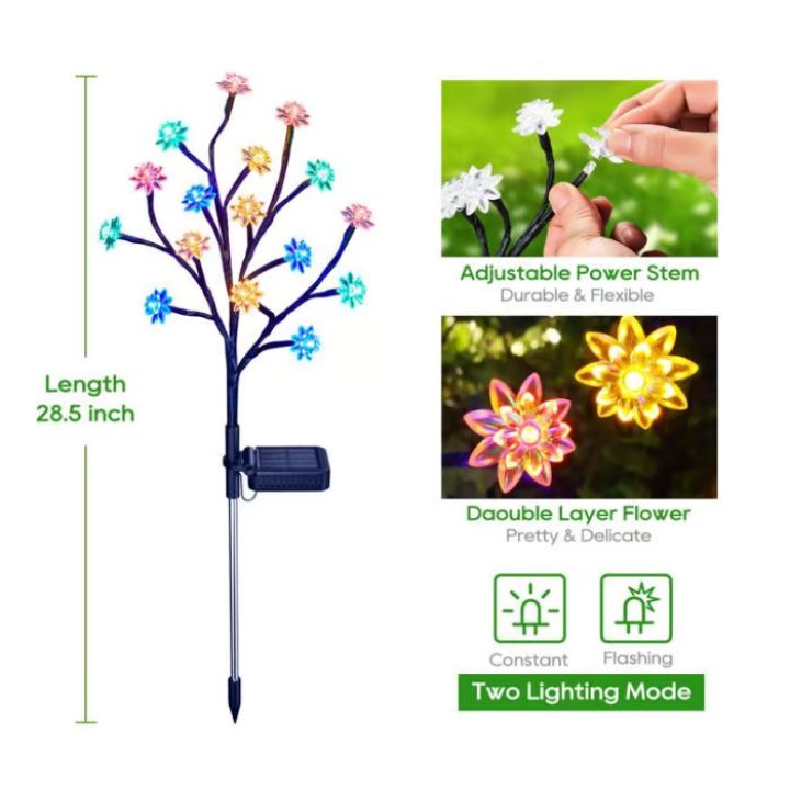 Carvallo – Förvandlar varje trädgård till ett blomsterparadis Carvallo