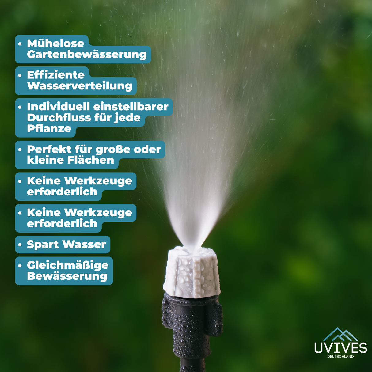 Carvallo Pro – Maximal avkastning med minimal ansträngning (20-pack) Carvallo