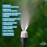 Carvallo Pro – Maximal avkastning med minimal ansträngning (20-pack) Carvallo