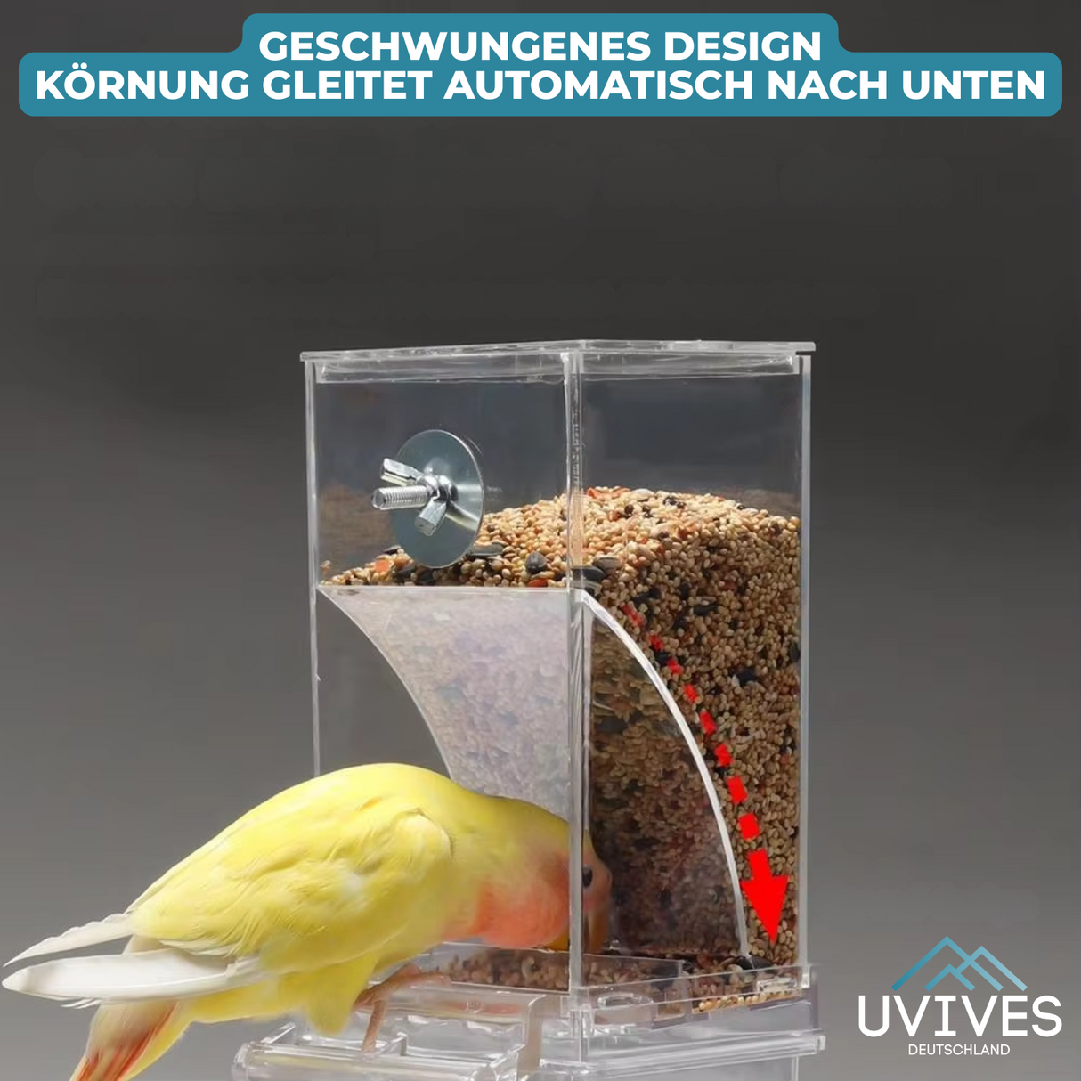 Carvallo – Ren utfodring, nöjda fåglar, mindre ansträngning Carvallo