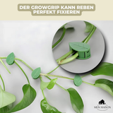 Carvallo | GrowGrip - Växtfäste klämmor Carvallo