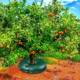 Baum bevattningstask med droppbevattning – Effektiv bevattningslösning för träd och buskar Carvallo