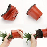 Carvallo Växtkrukor | Transparenta & Robust | För frisk växt- och rotutveckling Carvallo