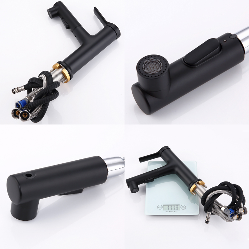 Modern Utdragbar Badrumshandfat Blandare Carvallo