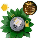 Carvallo – Tropiskt ljus för magiska nätter Carvallo