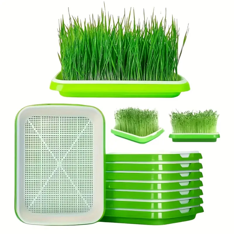 Keimschålar med lock – Dubbelskiktad utsädesbräda för effektiv frögroning Carvallo