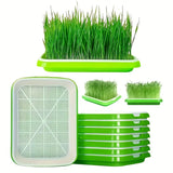 Keimschålar med lock – Dubbelskiktad utsädesbräda för effektiv frögroning Carvallo