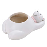 Djuriska växthus – Roliga djurdesigner för suckulenter och kaktusar Carvallo