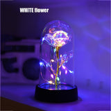 GoldenRose - Elegant Rosablomma Lampa för Gåvor och Dekoration Carvallo