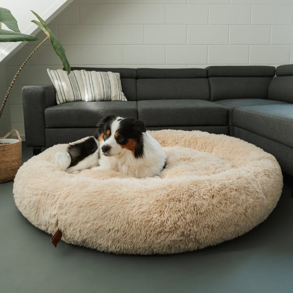 FurryCloud™ ångestdämpande hundsäng-Hemnix-Aprikos-S-Hemnix