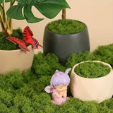 Konstgjord mossa för landskapsdesign – Mossa och blommor för dekoration och floristisk Carvallo