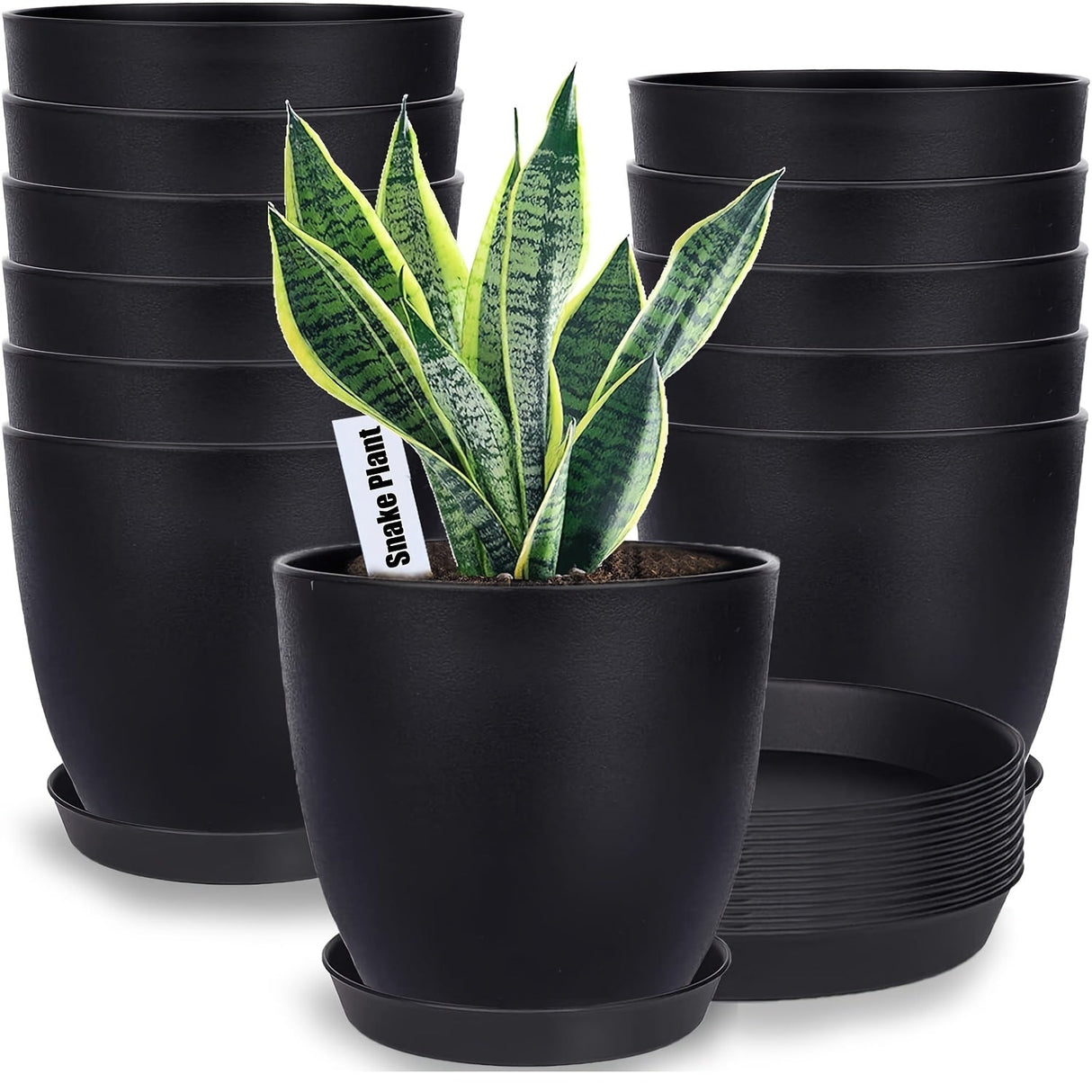 Carvallo-Set FloraCasa | 12-delad med underlägg | För inomhus & utomhus | Väderbeständig plast Carvallo