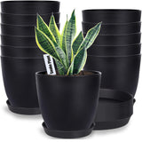 Carvallo-Set FloraCasa | 12-delad med underlägg | För inomhus & utomhus | Väderbeständig plast Carvallo