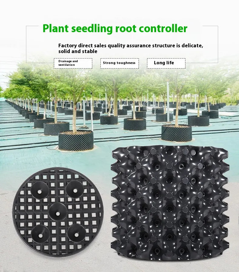 Rotkontrollapparat för växter och landskapsdesign för att främja hälsosam tillväxt Carvallo