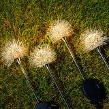 Carvallo - Vattentät solcellsträdgårdslampa i maskrosdesign Carvallo