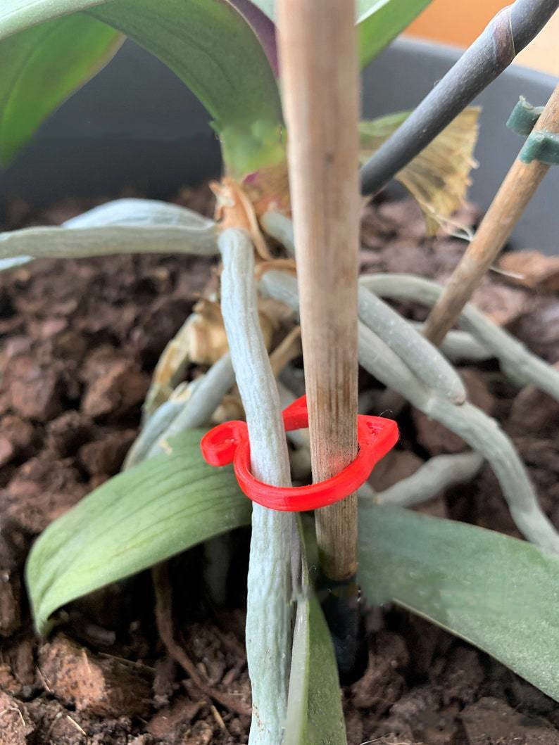 Katt-formad växtklipp – Söt växtstöd för trädgård och inomhusväxter Carvallo