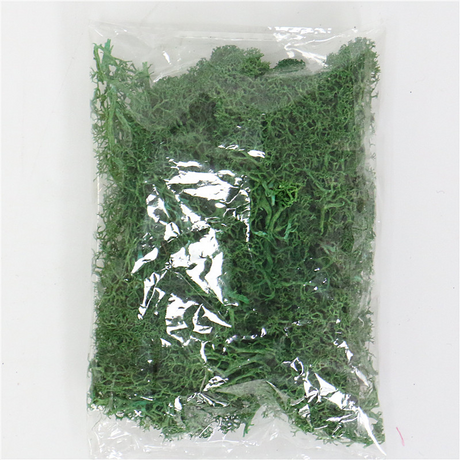 Konstgjord mossa för landskapsdesign – Mossa och blommor för dekoration och floristisk Carvallo