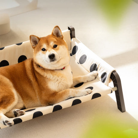 Polka Dot Frosted Suede Sommar Kyl Hundsäng Stilig Andningsbar Carvallo