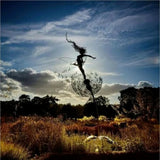 Fairy Stål Trädgårdsskulpturer Carvallo